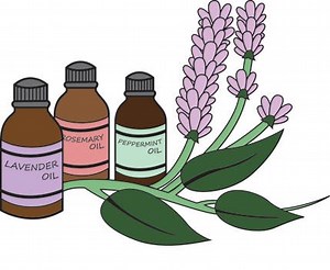 Learn the Essentials of Essential Oils