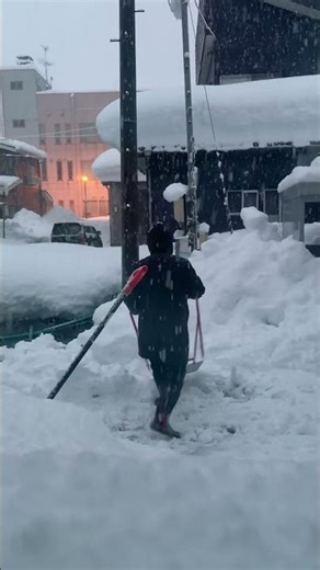 #雪 #日本の冬 #非日常 #beforeafter #sno wfall﻿#豪雪#大雪#雪#日本の冬#雪国#冬の生活#雪やばい#snowfall#snow#japansnow#insanesnow