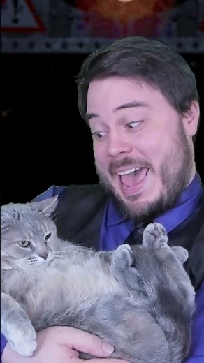 My Cat Is A Terrible Nightguard