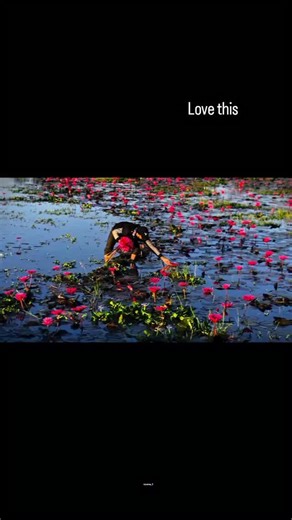 film l movie l Tv series l on Instagram: "🥹 Interesting Fact: Miracles from Heaven (2016), This deeply moving scene, where Angela (Queen Latifah) shows spontaneous kindness to Christy Beam (Jennifer Garner) and her daughter, is crucial for establishing a core theme of the film: that small, unprompted acts of human decency can be the biggest miracles. Director Patricia Riggen deliberately cast Queen Latifah to bring her established warmth and authenticity to the role of the waitress, ensuring th