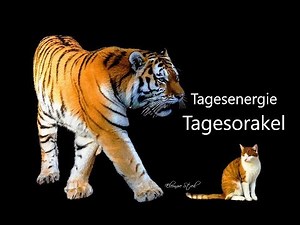 Tagesorakel - Dienstag 23.07.2019