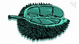 23K views · 106 reactions | Which iconic object best represents Singapore in its 51st year? Vote here: str.sg/51-object | The Straits Times | Facebook