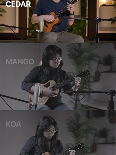 Aloha ʻOe Sound Comparison on Kanileʻa Tenor ʻUkuleles