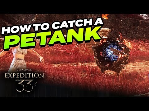 How to catch and Beat Petanks | Clair Obscur: Expedition 33