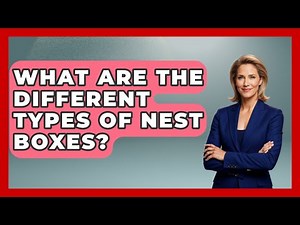 What Are The Different Types Of Nest Boxes? - Bird Watching Diaries