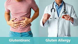 what is the difference between gluten intolerance and gluten allergy? - Test Food Kitchen