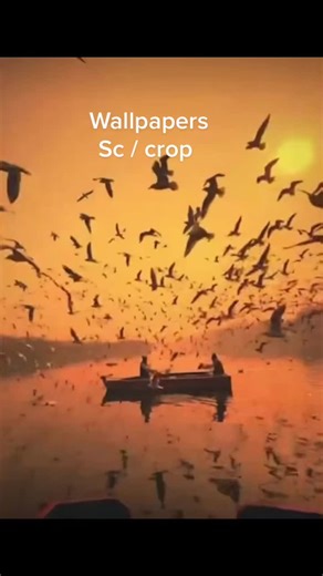 T_Vids on TikTok