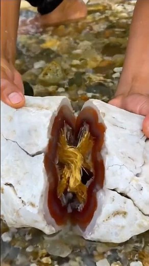 Golden Threads Inside an Agate Geode – Nature’s Hidden Treasure Revealed!