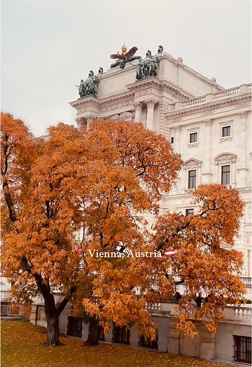 Exploring the Beauty of Vienna in Autumn