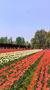 1.9M views · 146K reactions | Beautiful Scenery view❤ | Nature Beauties | Facebook