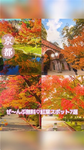 らら京都映え旅♪(おすすめ京都スポット) on Instagram: ". 京都の紅葉も各所見頃を迎えていきます🍁 今回は、たくさんの紅葉スポットの中から 『嬉しい無料スポット 』のおすすめ7選です！ こんな素敵な紅葉が見れて無料なんて嬉しすぎる🥹 ぜひ秋の京都旅に組み込んでみてね♡ ..................🍁................... ①大原野神社 📍京都市西京区大原野南春日町1152 🚌市バス・阪急バス｢南春日町｣下車徒歩8分 例年見頃： 11月中旬〜下旬🍁 拝観時間： 9:00-17:00 拝観料金： 無料 ＊長岡京の守り神！紫式部も氏神としてこよなく愛した ＊市内から離れる分穴場ですょ♪ ＊境内へ続く表参道から鮮やかな美しい紅葉で彩られる ＊拝観無料＆ピーク時ライトアップもあり人気上昇中！ @oharanojinja.official ..................... ②円山公園 📍京都市東山区円山町 🚌京都駅から市バス206系統「祇園」下車 徒歩3分 例年見頃：11月中旬〜下旬🍁 拝観時間：自由 拝観料金：無料 ＊八坂神社隣
