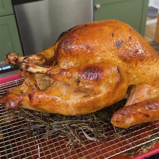 Sohla El-Waylly on Instagram: "The best and easiest turkey you can make. Watch the full video on our new YT channel!"