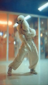 25K views · 441 reactions | Great poodle dance. If you enjoy the video, don’t forget to like, comment, and share. #poodle #poodlelove | About Poodle | Facebook