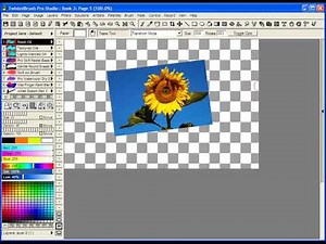 TwistedBrush Tutorials: Easy Layer Rotation, Scaling and Moving