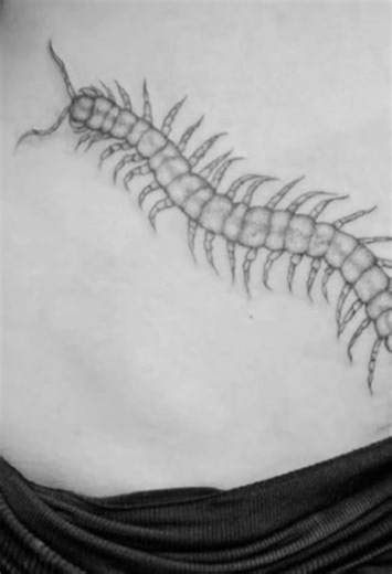 Centipede Tattoos: A Unique Expression of Mood and Memory