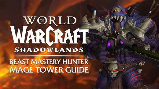 A casual's guide to the Beast Mastery Hunter MAGE TOWER [9.1.5] | Shadowlands