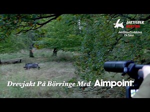 Drevjakt På Börringe Med Aimpoint