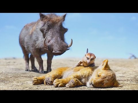 The Lion King - Clip "Timon & Pumba rescatan a Simba" Español (El rey león)