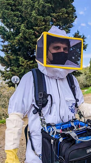 1.9K views |  Buzzzz  Soundfish #bee #field #locationsound #boomoperator #bzzz #sound #audio #noise #recording #humming | Avid Pro Tools | Facebook