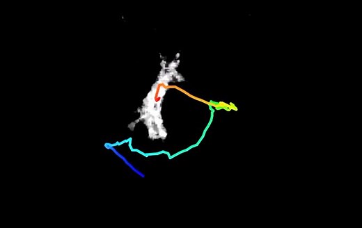 Analysis Tools | cellSens Software | 奥林巴斯生物显微镜