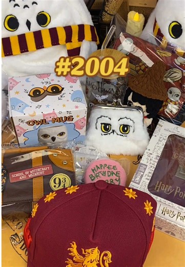 Mystery Box Unboxing for Harry Potter Fans