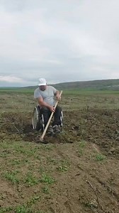 Adrian Iancu on Reels