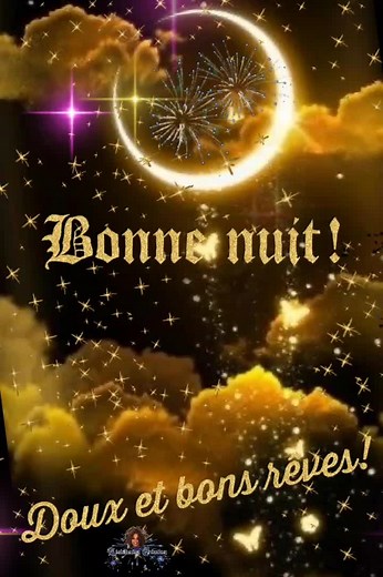 Perfect French Version Cover by Sara'h - Bonne Nuit