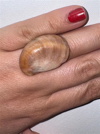 Brown Seashell Ring - Adjustable Gold Stainless Steel Band - Coastal Jewelry From South Florida - Etsy
