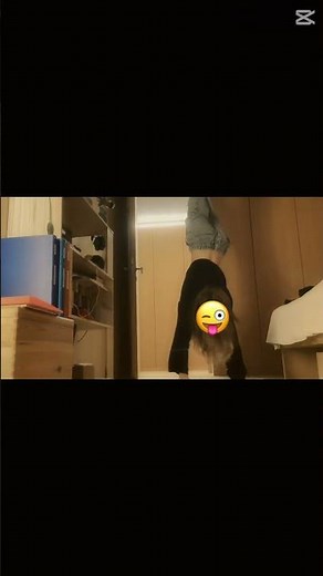 Random handstand lol #therian #quadrobics #sports