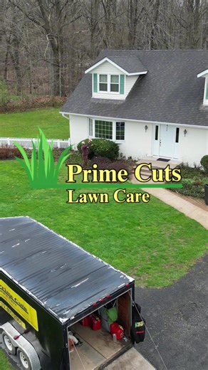 Spring Yard Cleanup: Leaves & Bushes Trimmed