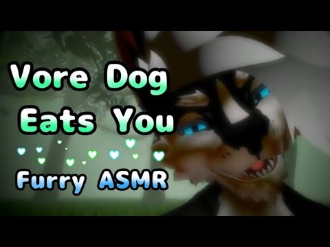[Furry ASMR] Vore Dog Eats You