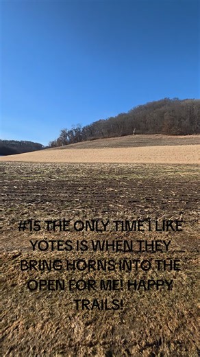 Wisconsin Whitetail Deer Hunting Insights