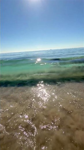 Translucent Sand Sucker Wave Balboa Pier ✨🌊 🏖️