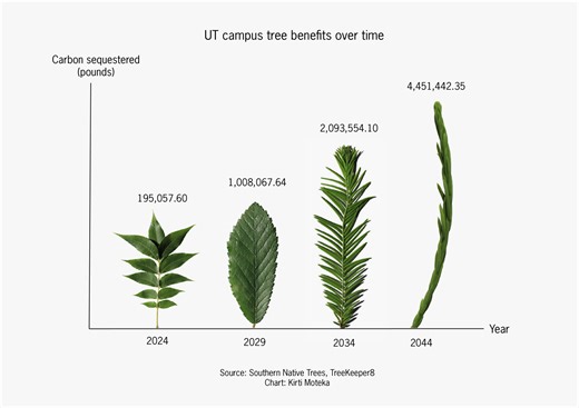 ‘Understand the science’: the environmental, health benefits of campus tree coverage