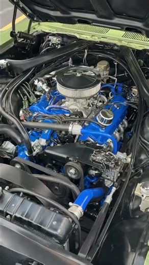 1967 Ford Mustang GTA Fastback S-Code 💚🔥 #1967mustang #GreenCar