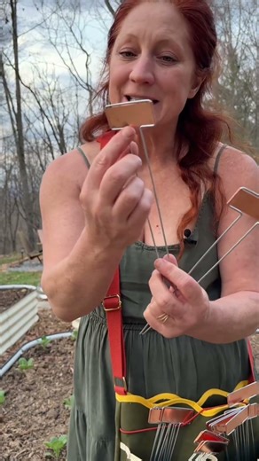 Copper Plant Tags for Garden Plants