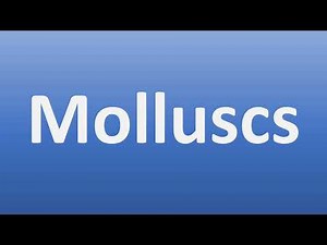 How to Pronounce Molluscs