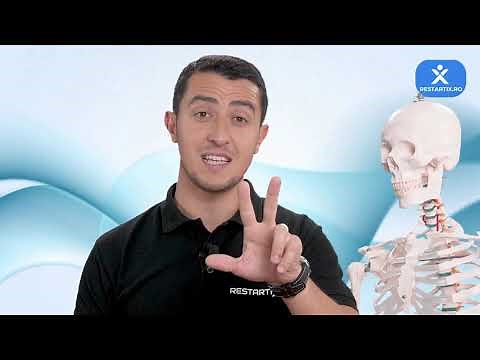 ALEXANDRU ILIE | 3 Exercitii pentru a evita durerile lombare (dacă lucrezi mai mult de 5h la birou)