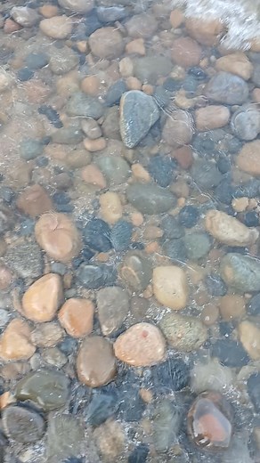 What does the other side look like?! #puddingstones #puddingstone #lakehuron #rockhound #Michigan | Gabrielle Pierson