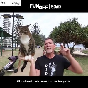 The 9GAG FUN OFF video contest is going on right meow! $100,000 Grand Prize. Link to submit video in @9gag bio. GOOD LUCK - FOLLOW: @9gag #9gag #9gagfunoff #9gagpets | CATMANTOO