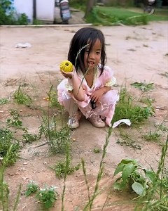 This dog is a hero! | DIY Panda