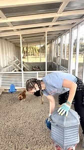 Mondays are for cleaning….the coop? 😬 #chickensofinstagram #raisingchickens #coopsofinstagram #cleaningtips #urbanfarm | The Chicken School