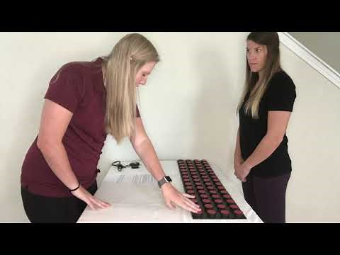 Updated Minnesota Manual Dexterity Test