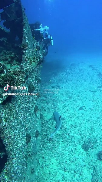 our wreckspedition this weekend>>>