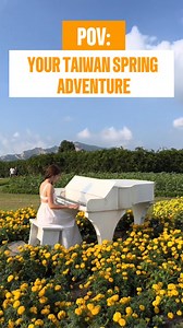 🌼 Bloom, glow, and explore in Taiwan! From flower fields to lantern festivals, this spring escape is too good to miss. Experience the season in its full magic! 🌸. Book your trip now!✈️ Disclaimer: All videos and music used in this content belong to their rightful owners. No copyright infringement is intended. #PAPHTravel #PAPHTravelAndTours #TravelAgencyPhilippines #TravelPH #Taiwan #fbreelsvideo #trendingvideo #fypreelsシ | PAPH Travel and Tours