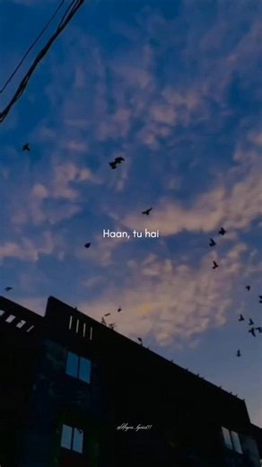 "I could fall in love with you.. 👀Haan tu hain _❣️🫠💞 lyrics song edit status