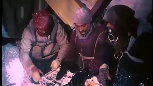 Supervivientes de los Andes ╬ Survive! [1976]