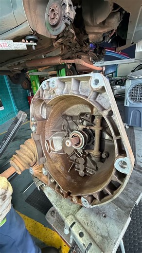 Fiat Argo clutch