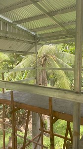 Regular client Additional 1008 heads expansion for month of October 2024 at Glan, Sarangani Province . | Mindanao RTL Chicken Package