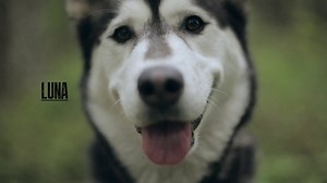 Jarrett Moore - Doggin' It